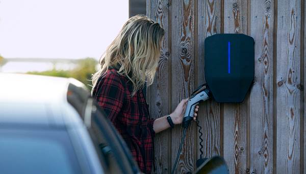 Säg hej till Garo Entity!