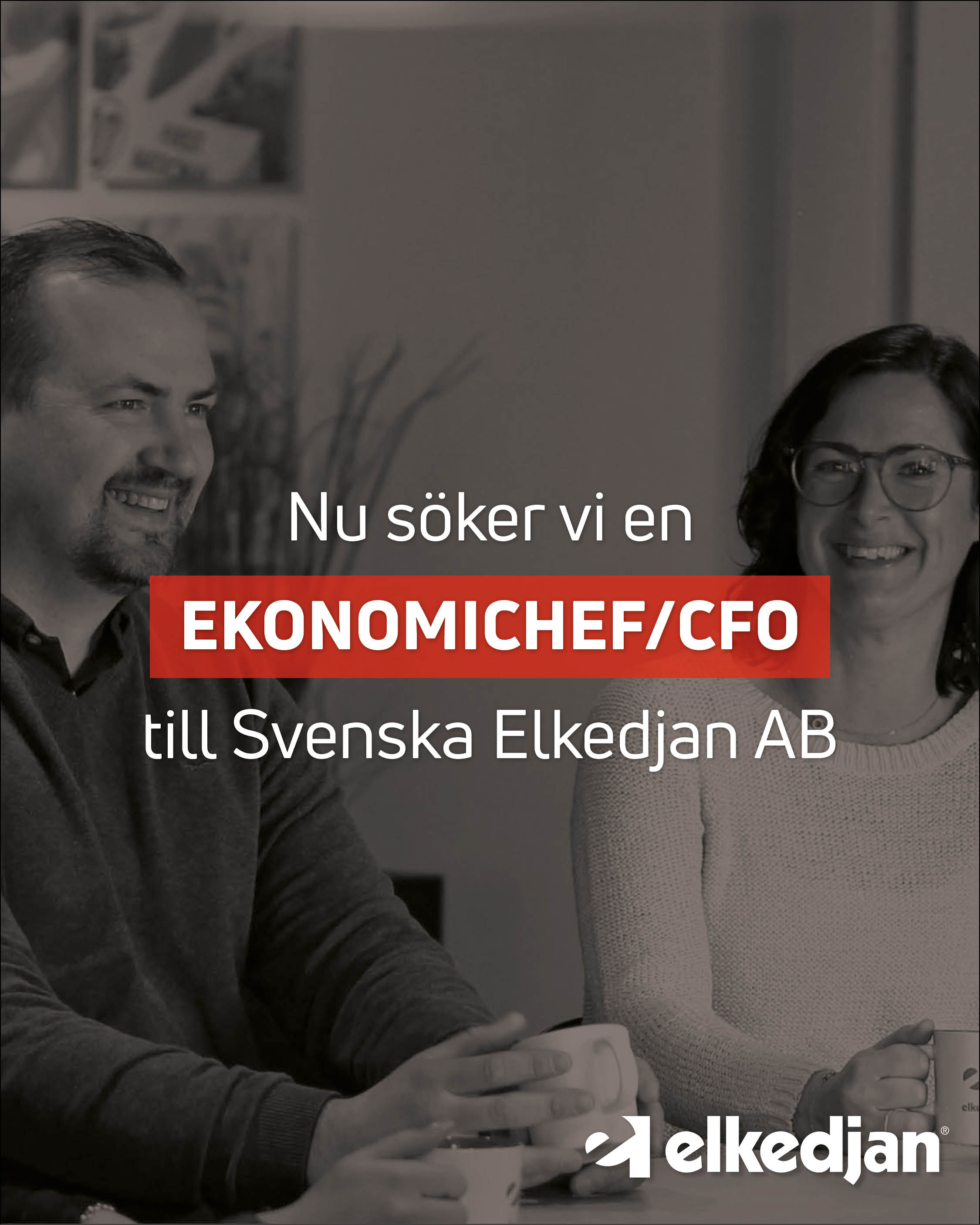 Ekonomichef med affärsfokus